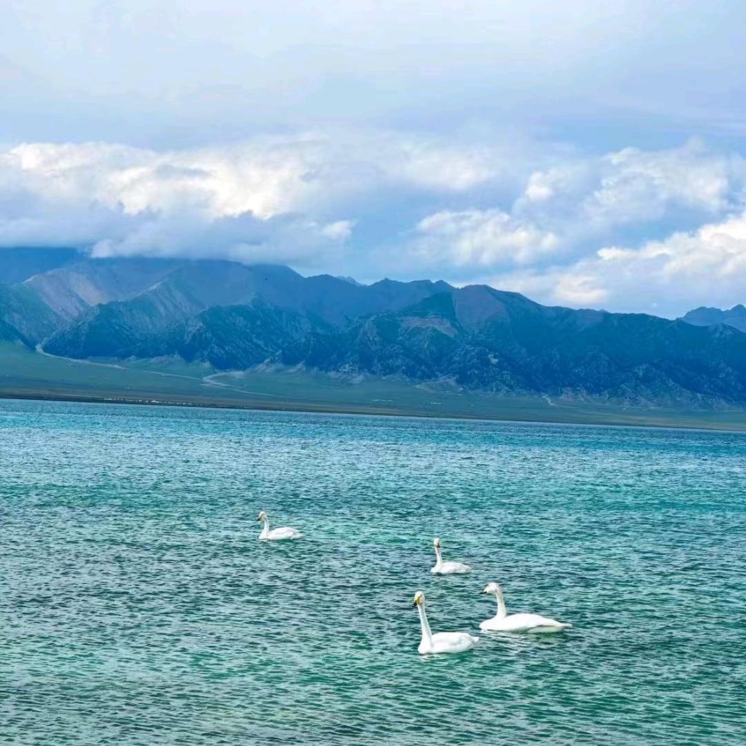 缘分天空w