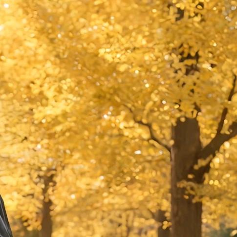 人生若只如初见，何事秋风悲画扇