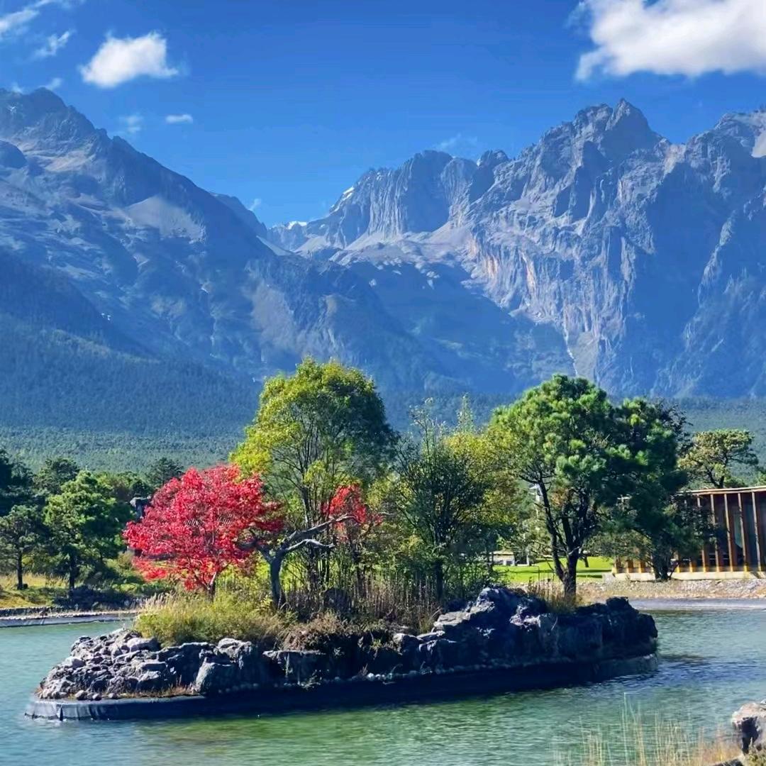 小杨哥好物分享 治