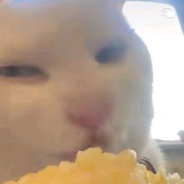 🌈🌈🌈🌈🌈🌈取什么名好呢