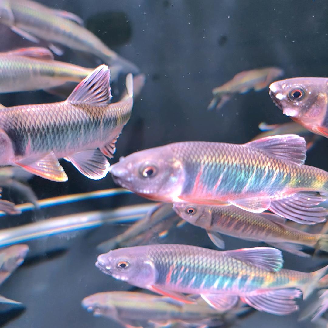 溪流缸一站式服务