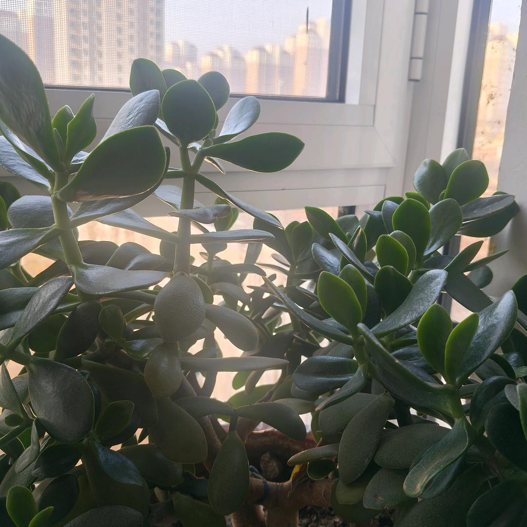 顺其自然。