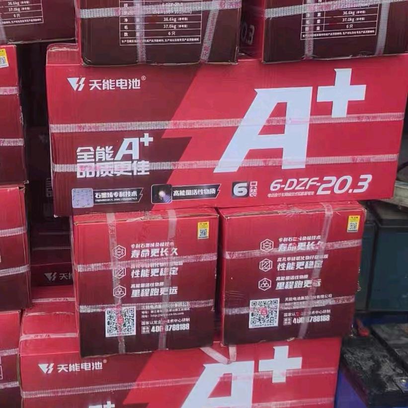 天能电池(湛江东海岛)