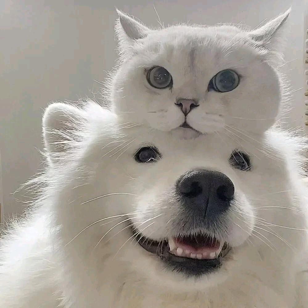 益达