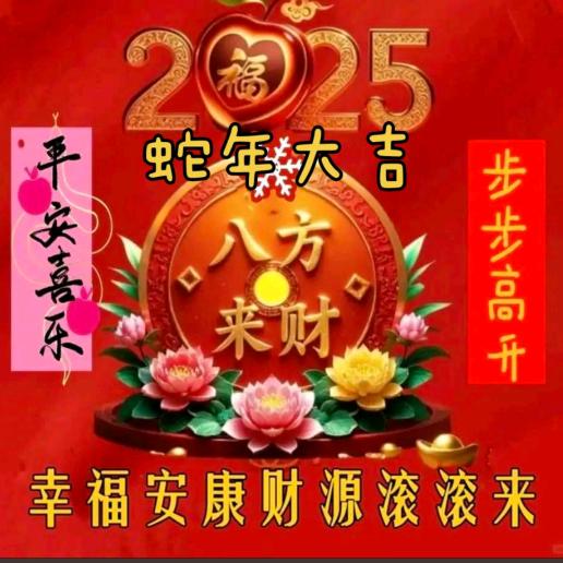大新置富