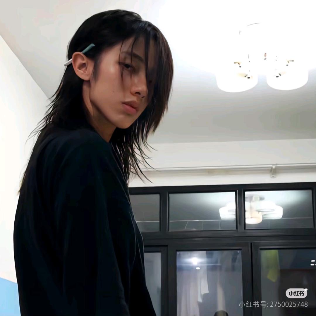 一只会叫le大鹅