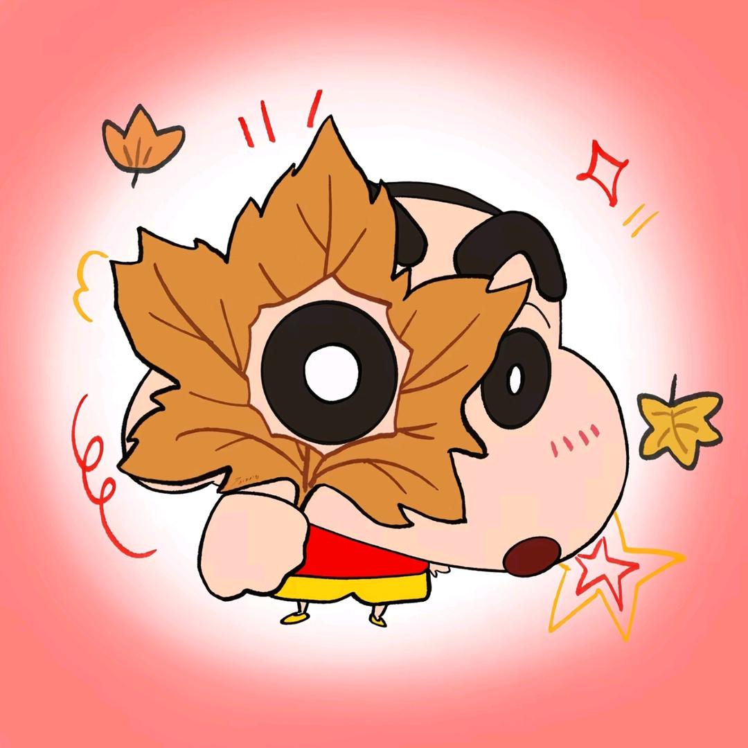 河东坡坡