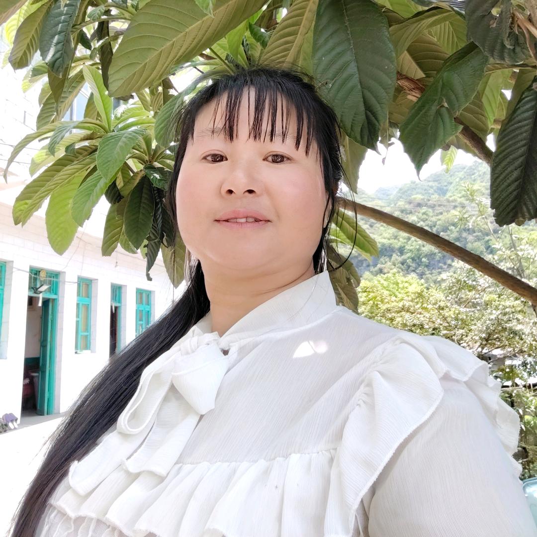 鹏飞