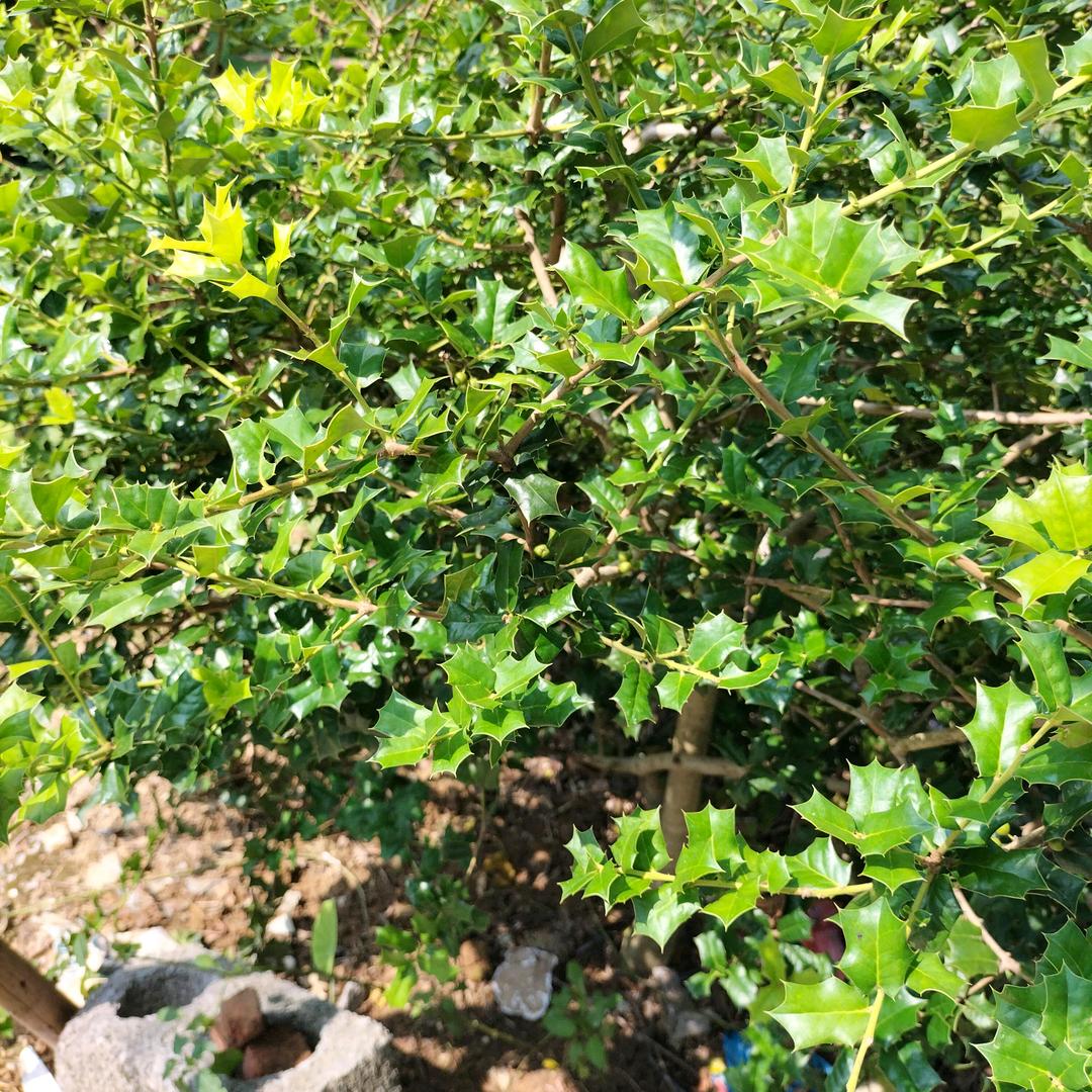 手机用户52555139305