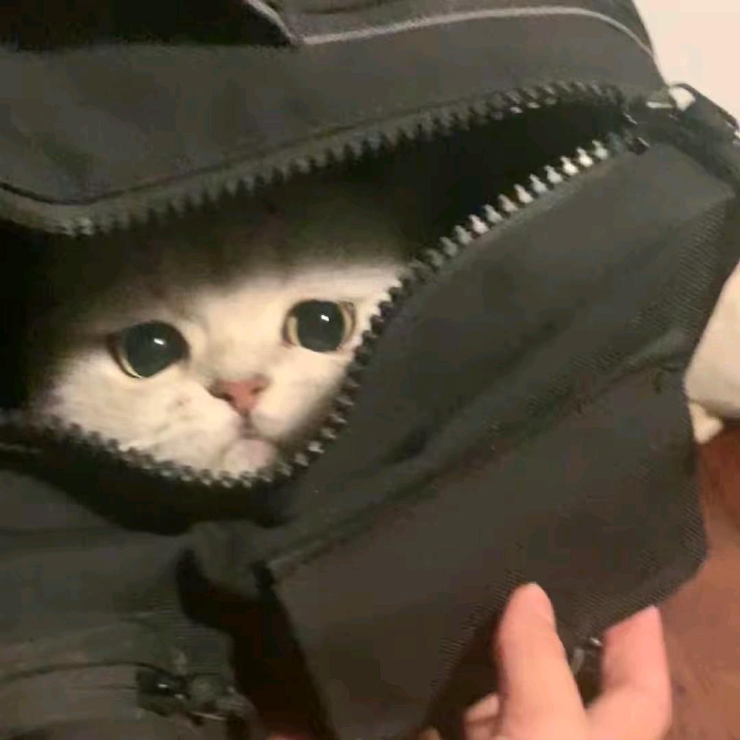 一休