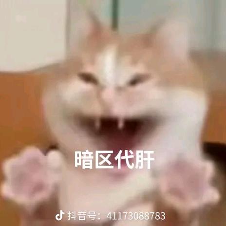 小七（暗区破产版）