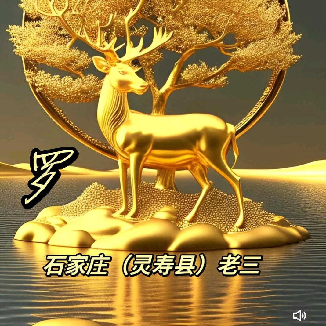 石家庄（灵寿县）老三