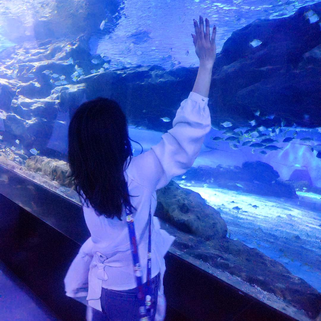 魔篱𝓛𝓾𝓬𝓴𝔂