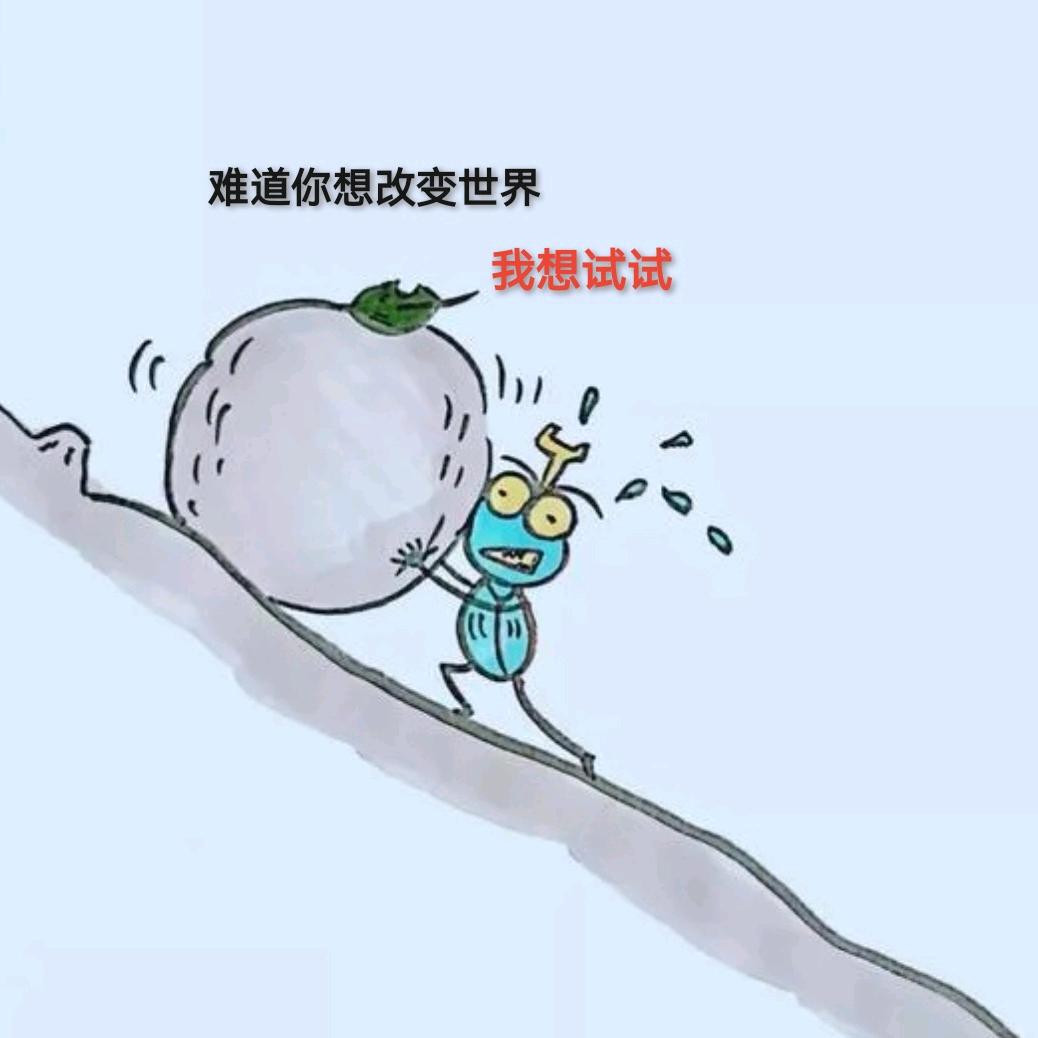 青青子今