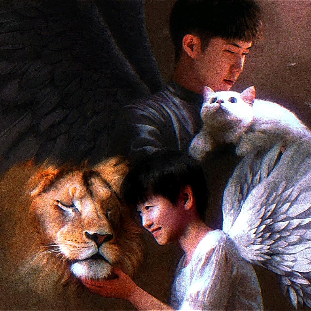 多金卡牌疗愈师一路赢