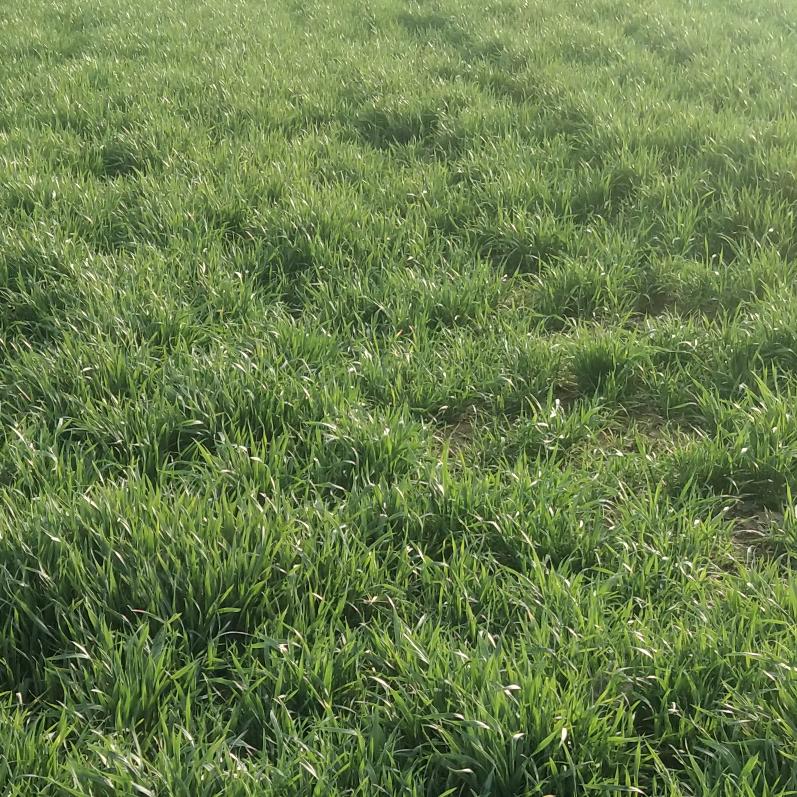 用户5901011501782徐文清