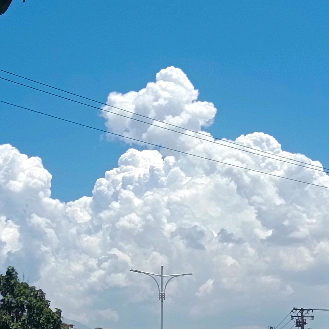 ♛♛