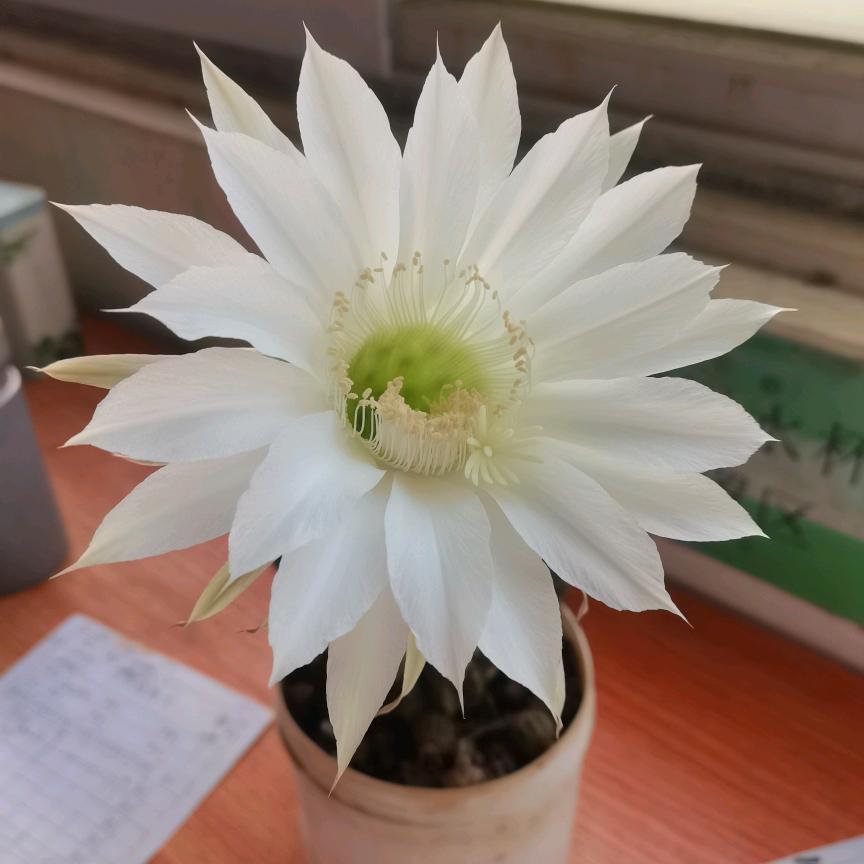 ʚ💗ི་ྀɞ忆念ʚ💗ི་ྀɞ