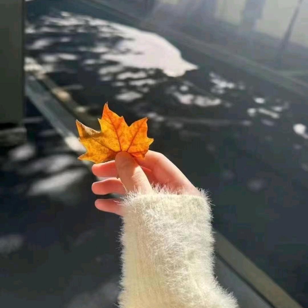 @玖弍