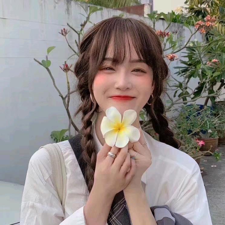 红柚🍊