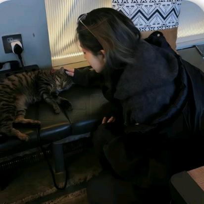 浅挚绊离兮　　　　　　🪳