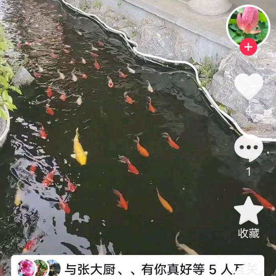 酒醉一生