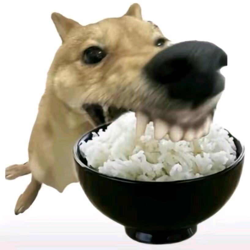 小夜（三角洲版）