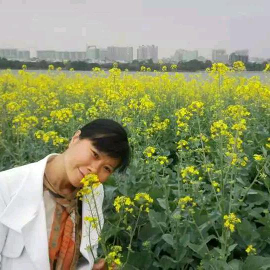 落雪无痕