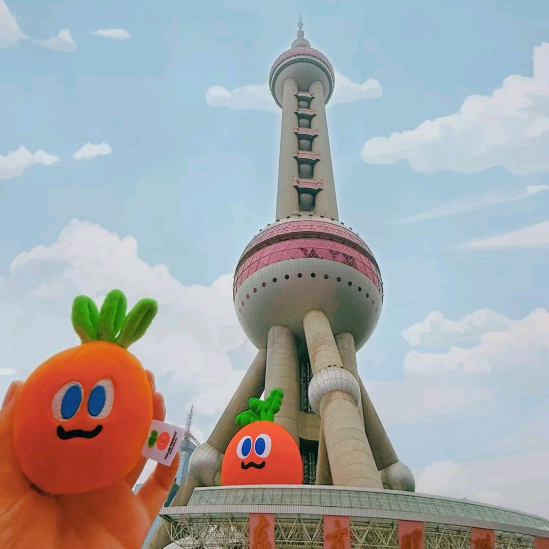 庐江湖北京
