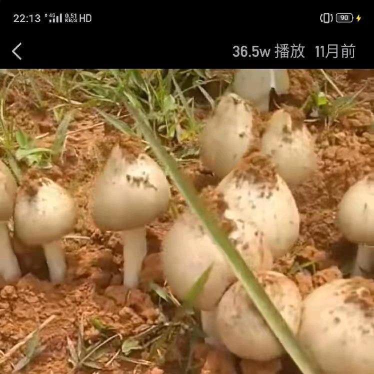 走自己路吧…@