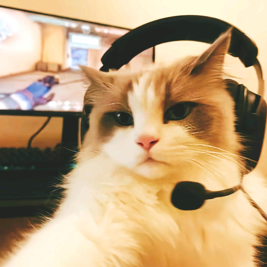 V⫍ ⃢⃢👁 ܫ 👁⃢ ⫎V