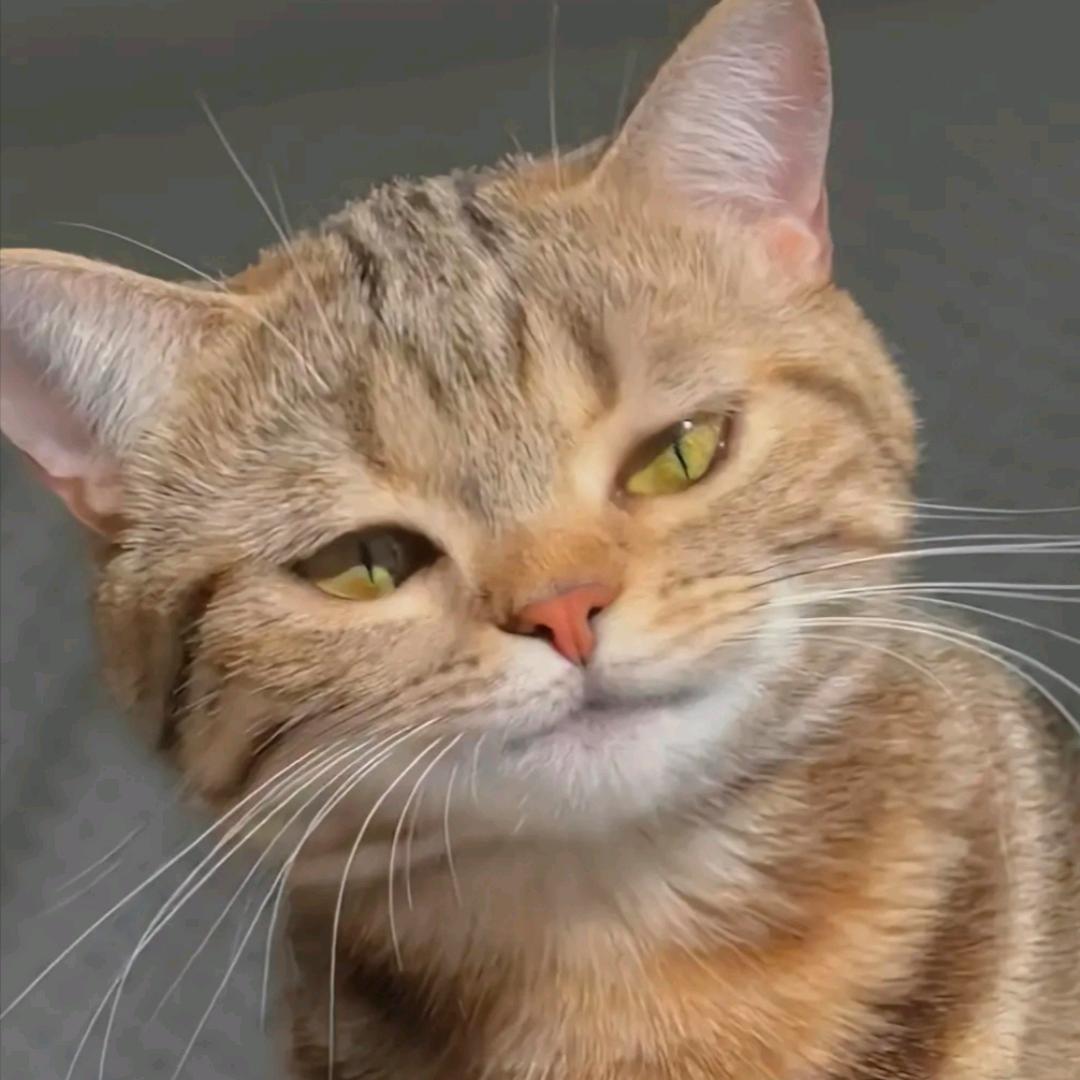 小王不会弹吉他