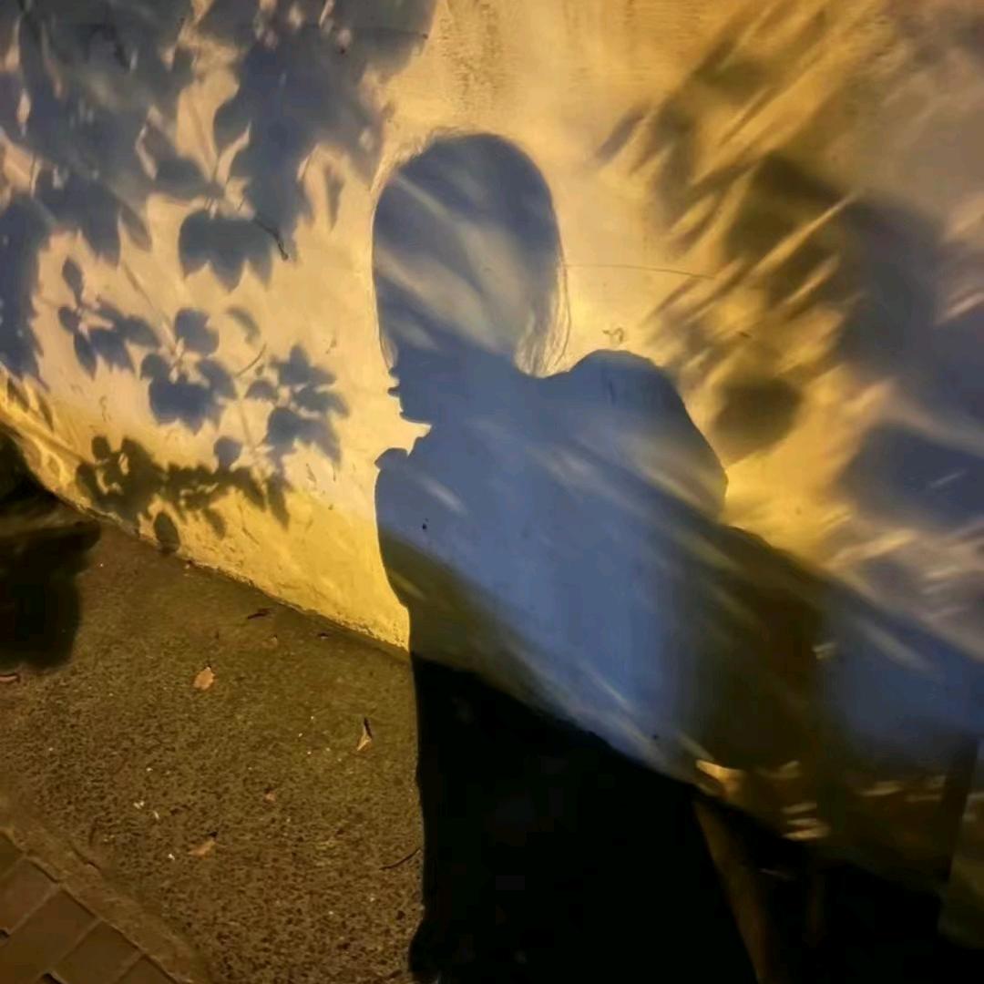 纪不喜