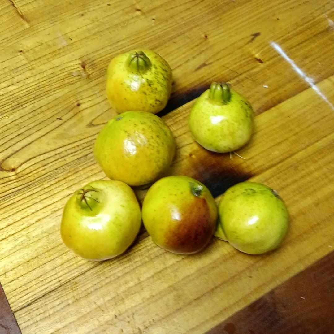 思念成沙,