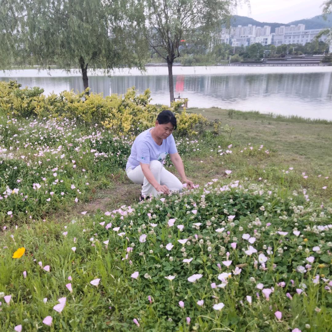 青菜🎤上午1点10分