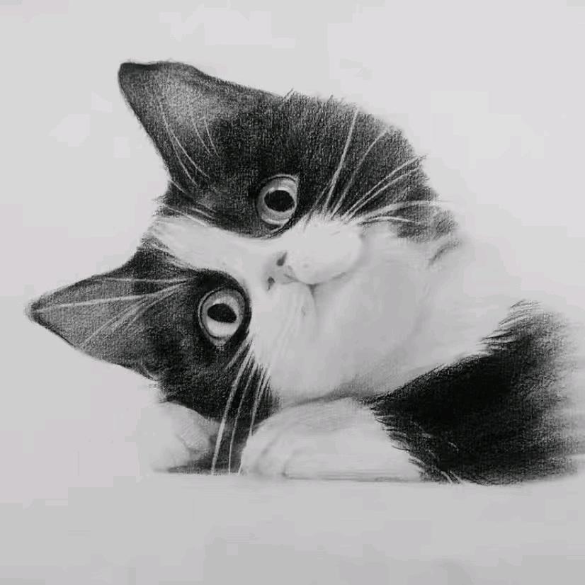 CouldLove