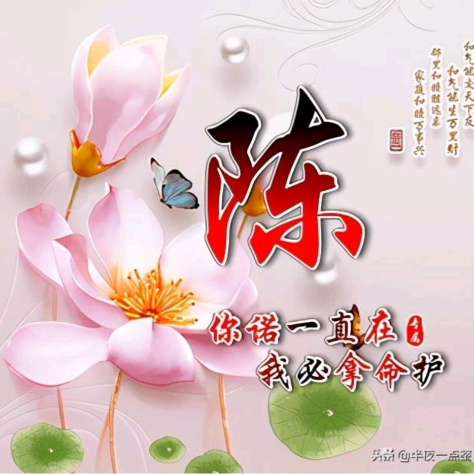 💞余生为爱你执着💞