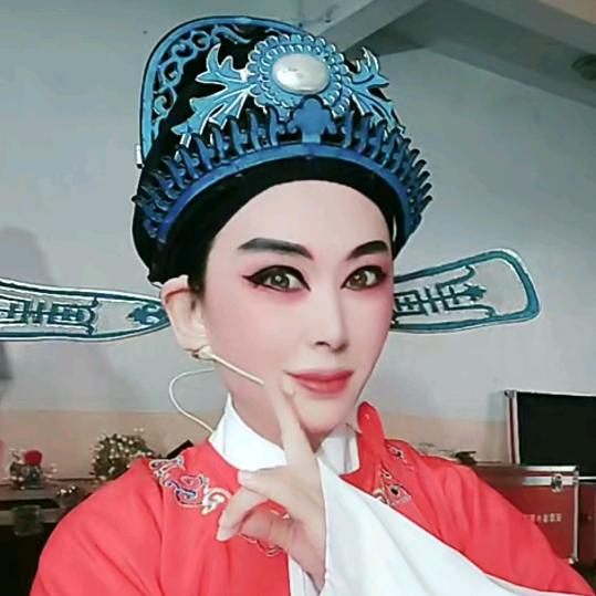 黄梅戏陈好