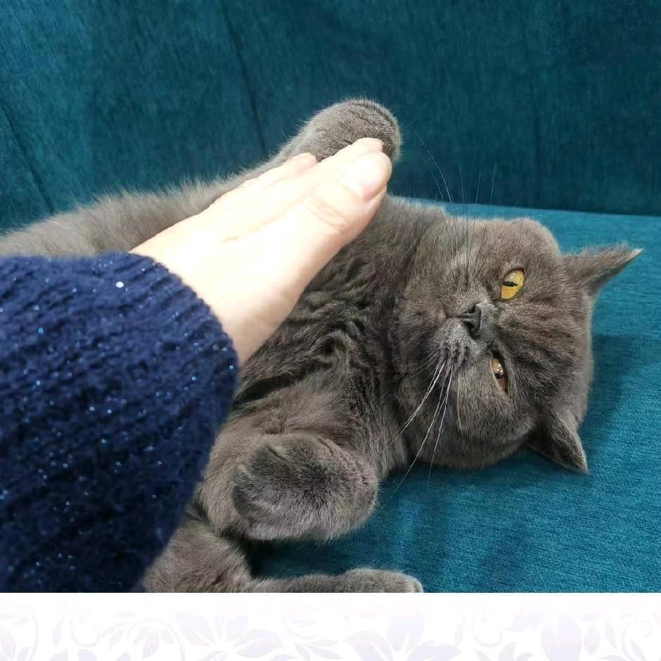 搬砖钟姐