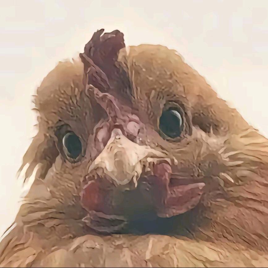 箫音幽