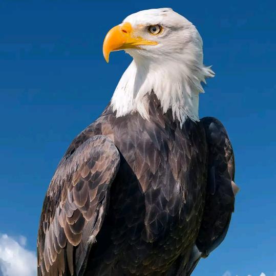 寻山小妖🐒🐒🐒