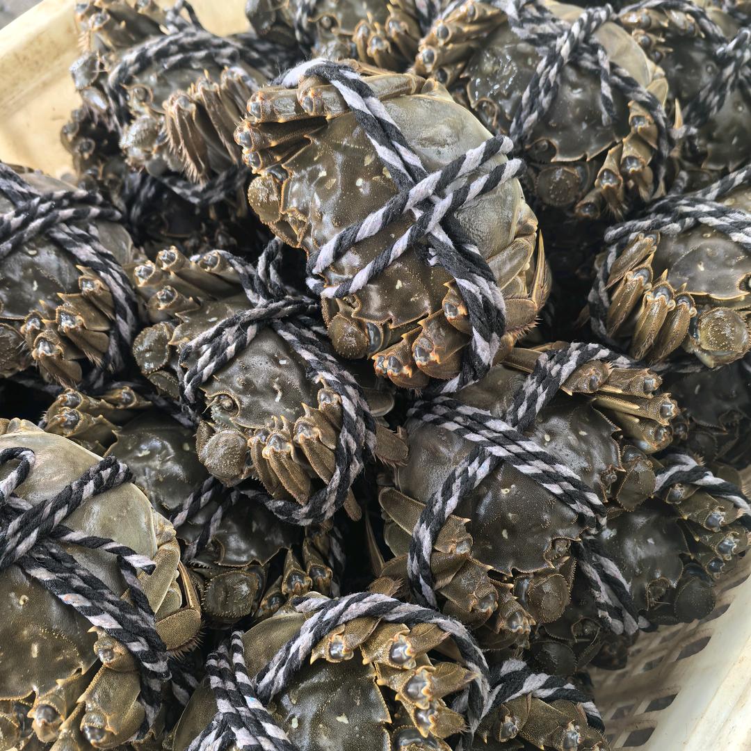 虾老大龙虾螃蟹批发