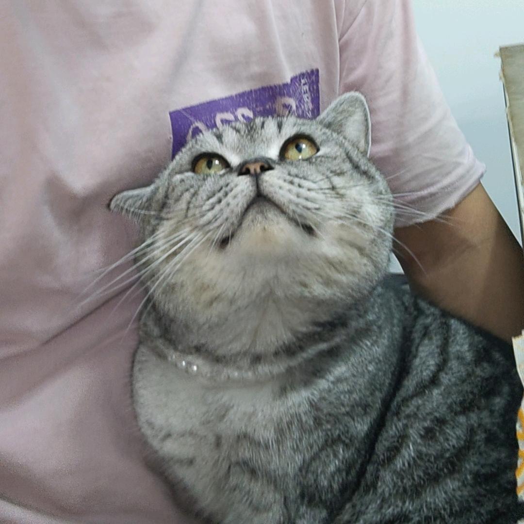 半夜的烟