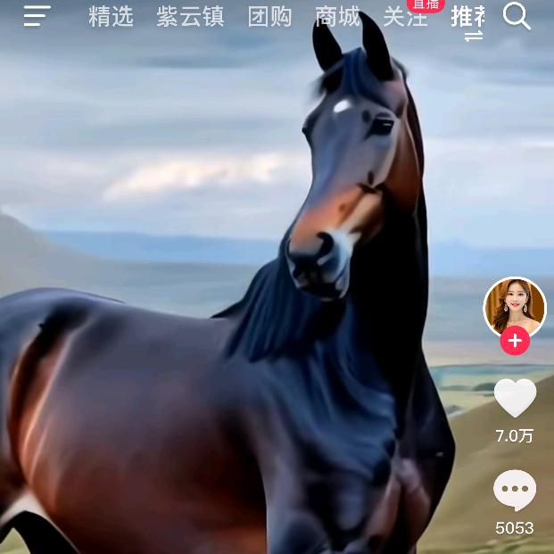赵小兵