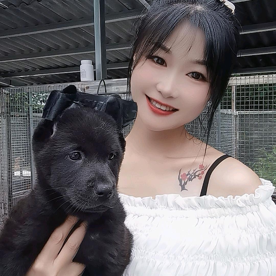 两千女神（长沙五黑犬）