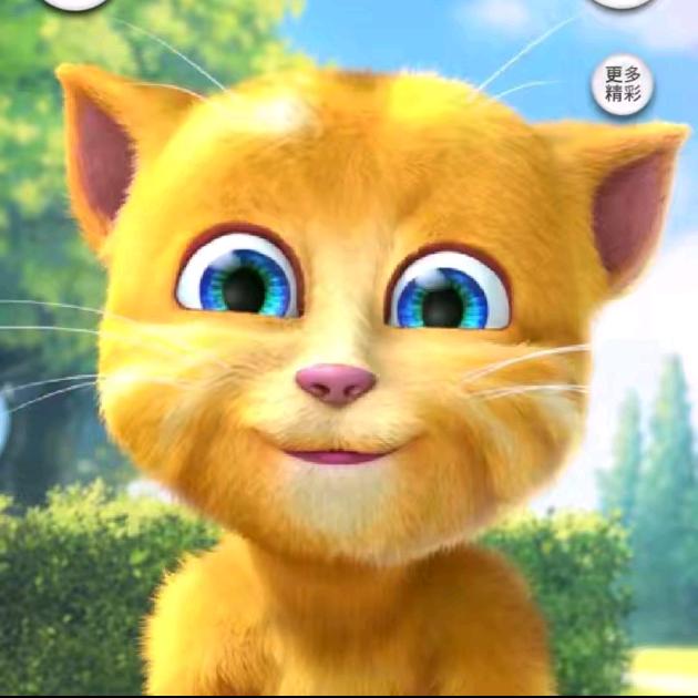 猫猫