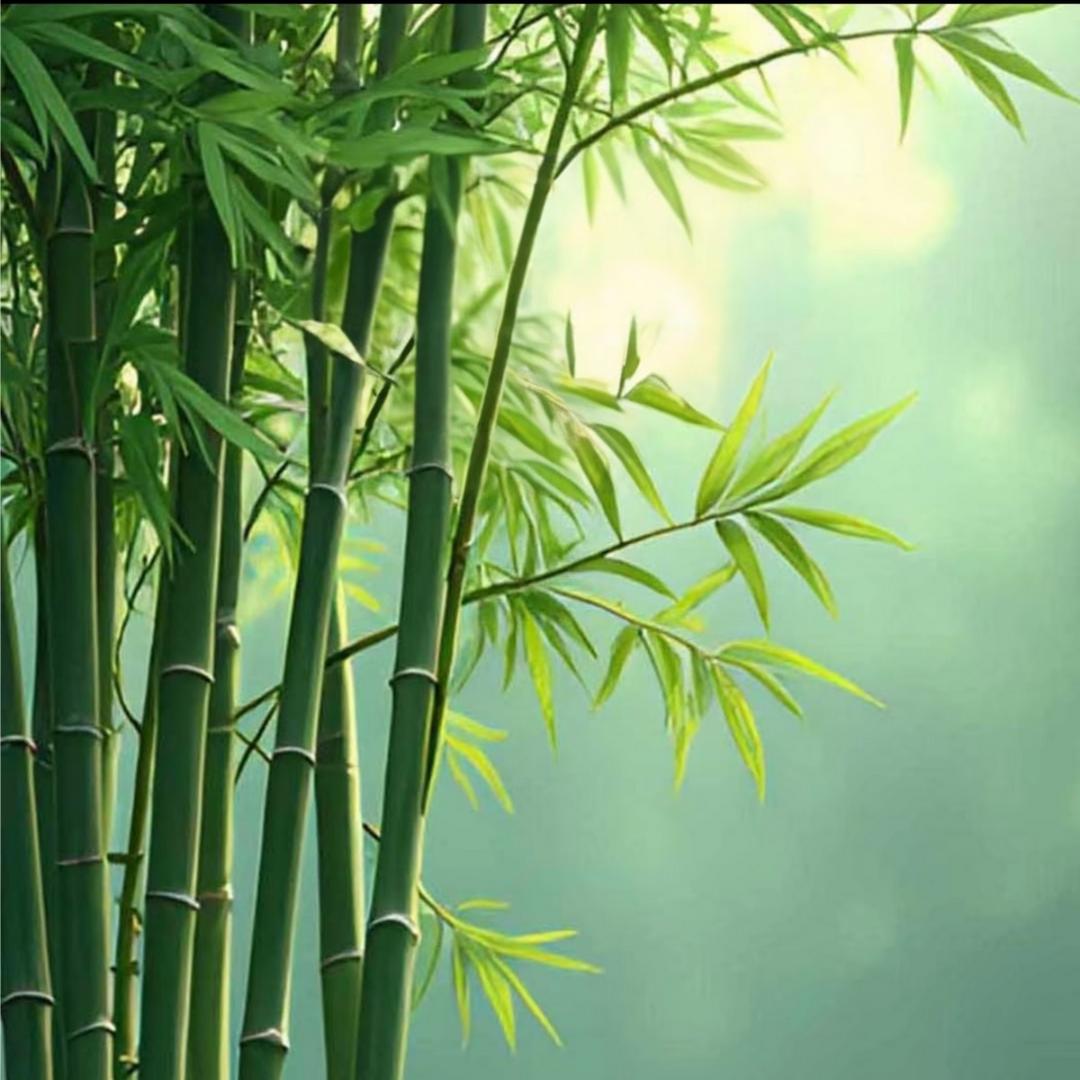 往前看，别回头