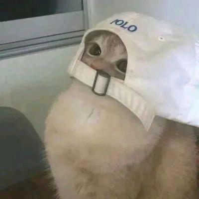 Ace