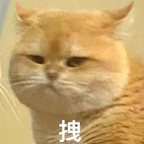 拉金汤不用纸