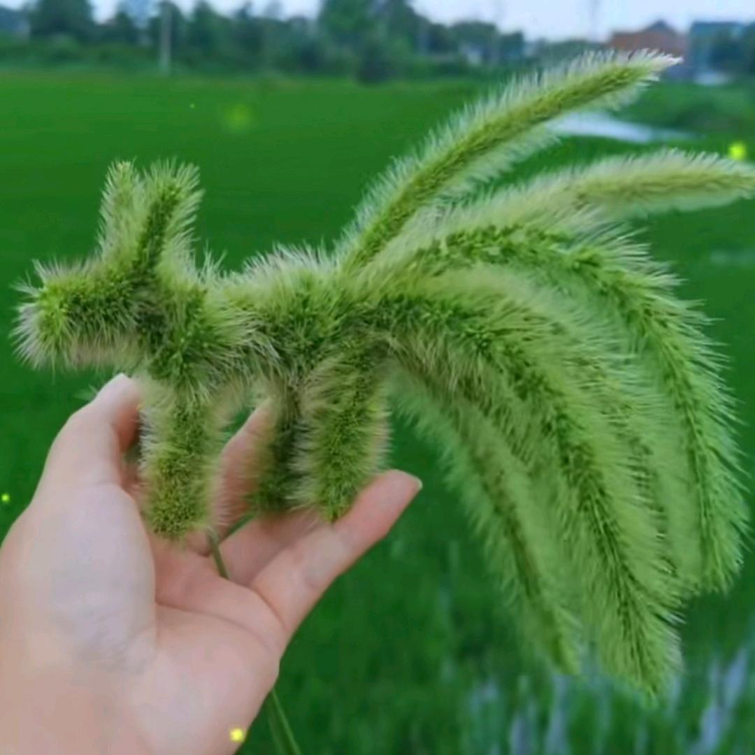 忘了